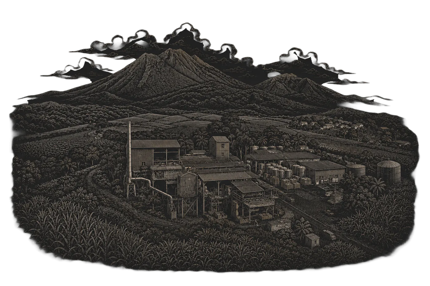 Esquisse gravée de la distillerie Bologne au pied de la Soufrière